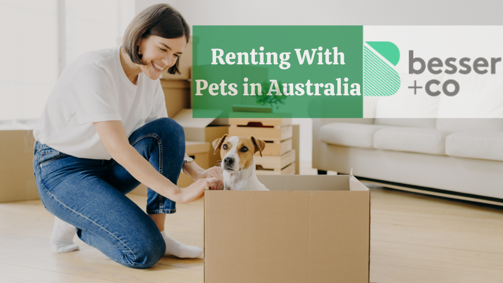 Renting With Pets in Australia