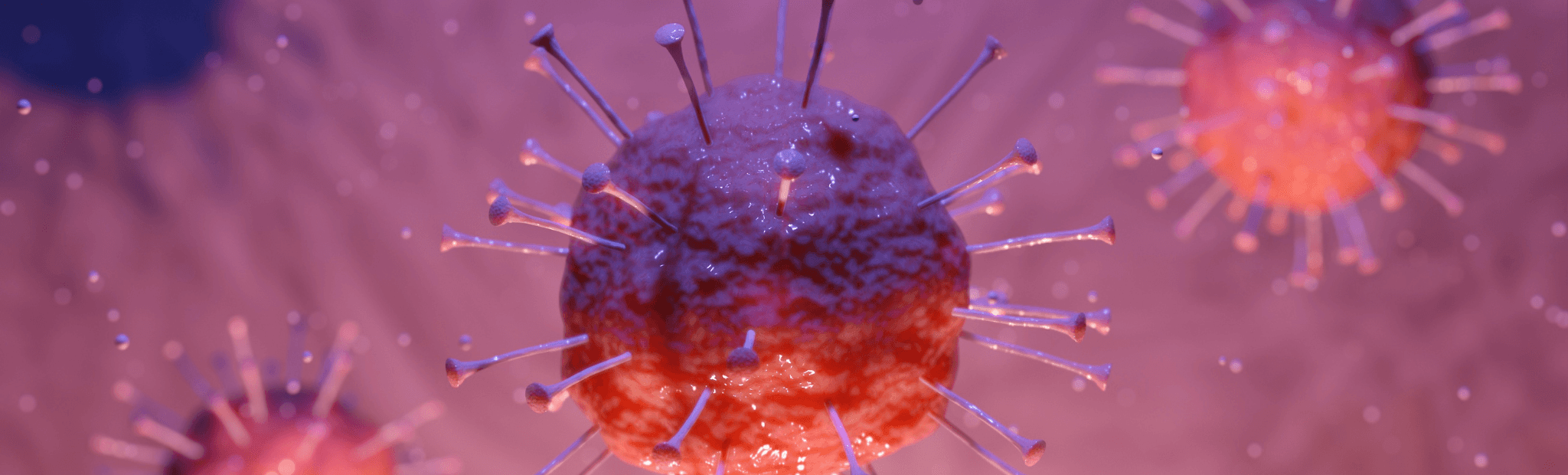Coronavirus Update